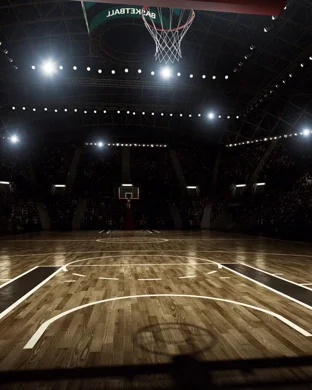 Michigan Wolverines vs. Washington Huskies