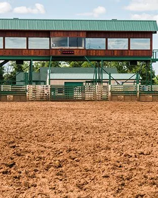 Xtreme Bulls